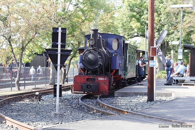 Feldbahn-Dampflok mit Personenwagen für Besucher-Rundfahrten.