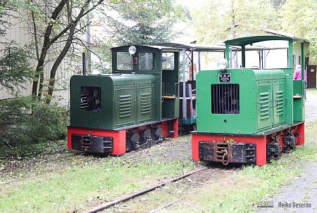 Ns2f (links) im dunklen Flaschengün und Ns2 (rechts) in einem helleren Grünton.