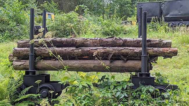 Holztransporter mit zwei Rungen-Hunten.