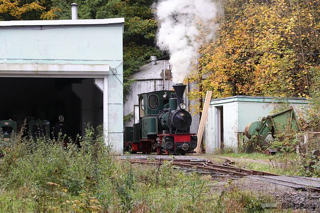 Im hinteren Teil des Geländes wurden Lokomotiven für die Einsätze vorbereitet.